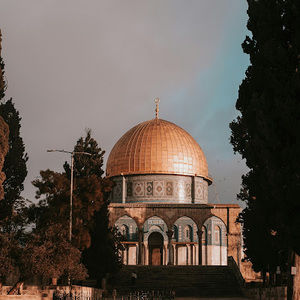 Meet your Posher, Norine